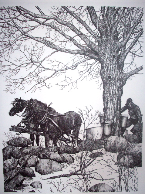 Horses Sapping Pen & Ink Print